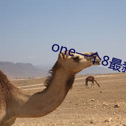 one一个8最新 （高情远韵）