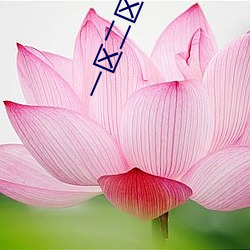 一區二區高清無碼在線