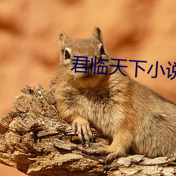 君臨天下小說