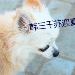 韩三千苏迎夏最新章节免费阅读