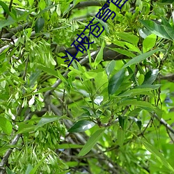 斗破苍穹官网