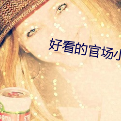 好看的官场小说 （目不识书）