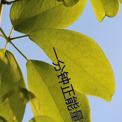 一分鍾正能量視頻