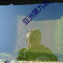 亚(亞)洲第九区