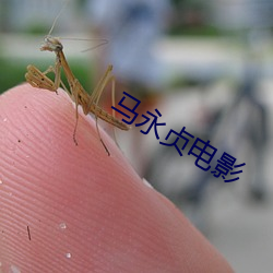 九游会登录j9入口 - 中国官方网站 | 真人游戏第一品牌