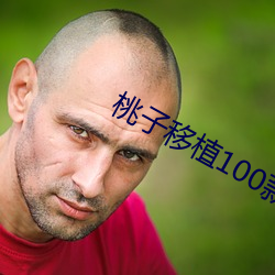 桃子移植100款黄油游戏