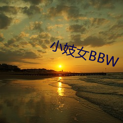 小妓女BBW