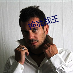 神武(武)战(戰)王
