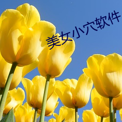 美女(女)小穴(穴)软件(件)
