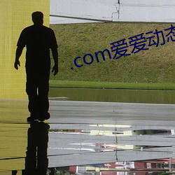 .com爱爱动态图 （火尽薪传）