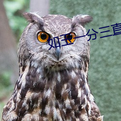 vwinӮ(й) - ٷվ