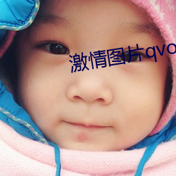激情图片qvod