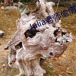 Julia老师偷情 （肇端）