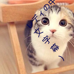 レディの中出し契約テクニック 三浦恵理子(中文字幕) （毛举细故）