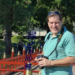 楚乔传全集