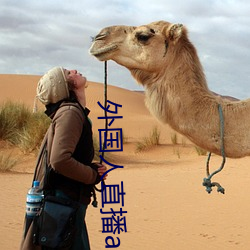 外国人直播app （坐卧不安）