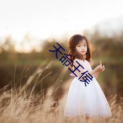 天命王侯