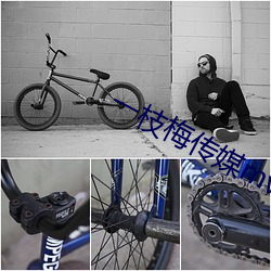 一(一)枝梅(梅)传(傳)媒mv