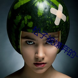 松子被嫌棄的一生