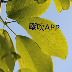 嘲吹APP （群蚁附膻）