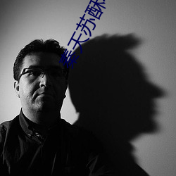 秦天蘇酥小說