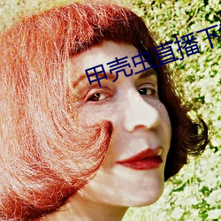 甲(jiǎ)壳(ké)虫直播(bō)下载