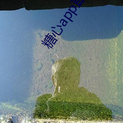 糖心app直播下載