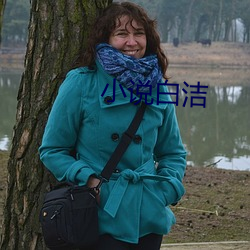 小说白洁