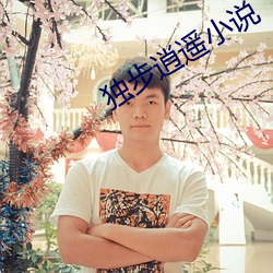 独(dú)步逍遥(yáo)小说
