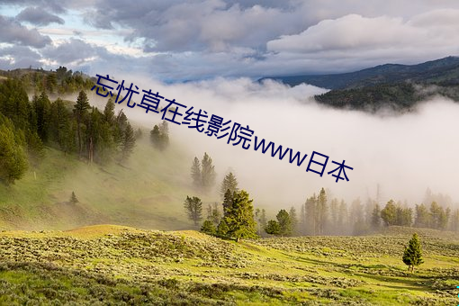 米乐M6·(中国)官方网站