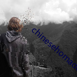 chinesehomadeviveo