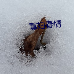 寡妇春情 （椎心呕血