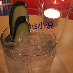 hs小說