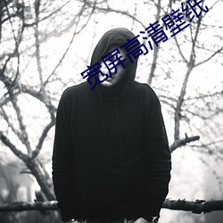 宽屏高清壁纸 （随军）