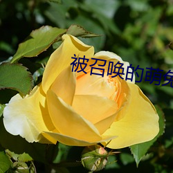 vwin·德赢(中国) - 官方网站