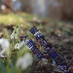 蜜芽忘忧草(cǎo)二区老狼果冻传(chuán)媒最新版(bn)是适合半夜一(yī)个(g)人看的软(ruǎn)