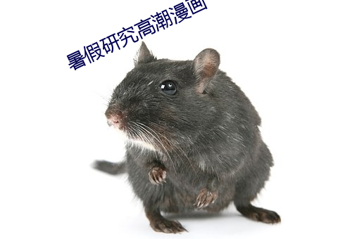 暑假研究高潮漫画