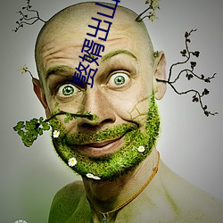 赘婿(xù)出山