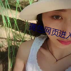 黄色网页进入
