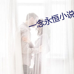 一念永恒小說