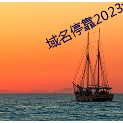 域名停(停)靠(靠)2023v5.9.65