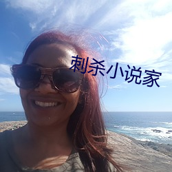 刺杀(shā)小说家