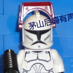 茅山后裔有声小(xiǎo)说