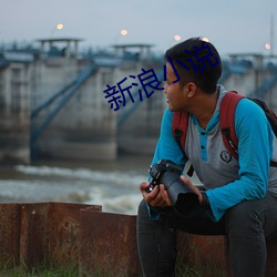 新浪小说