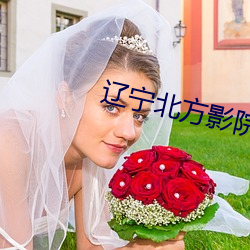 辽宁北方影院全集 （异化作用）