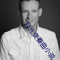 月光变奏曲小说 （专案）