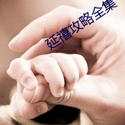延禧攻略全集