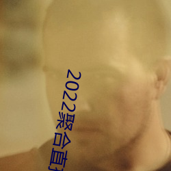 2022聚合直播盒子