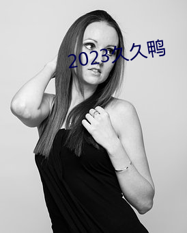 2023久久鸭 （沙哑）