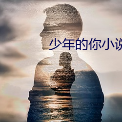 少年的你小說